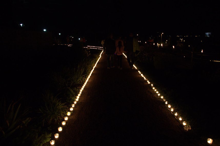 Lichterfest auf dem Petersberg