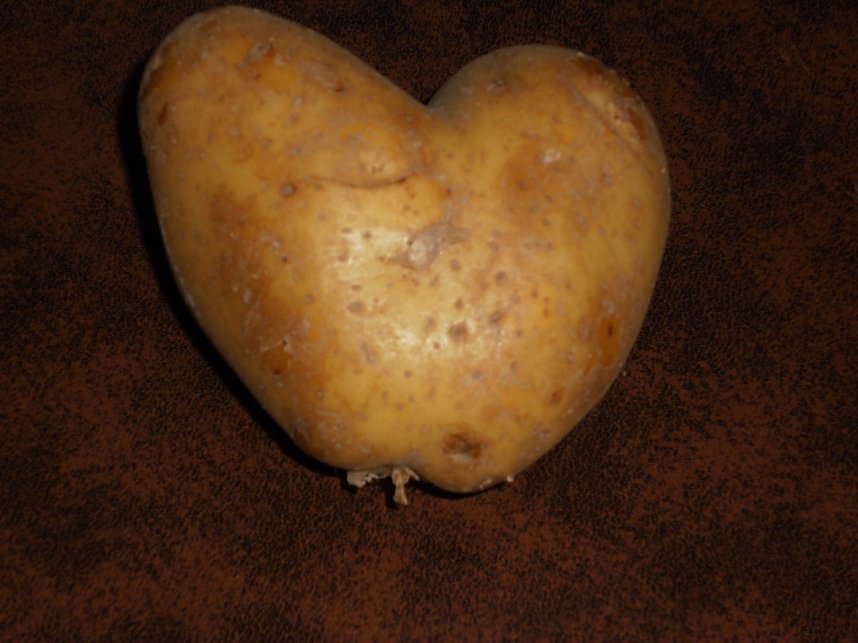 Eine Frage des Blickpunkts