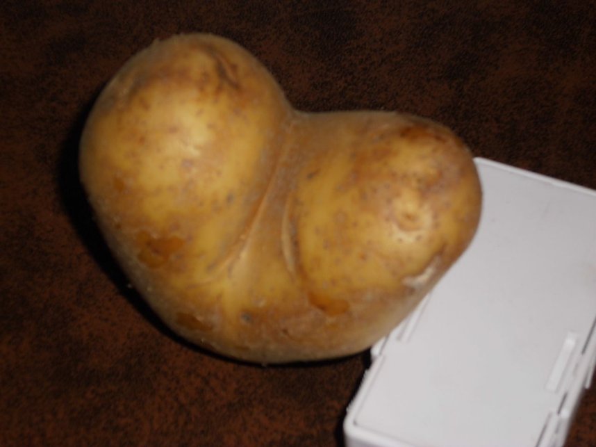 Eine Frage des Blickpunkts