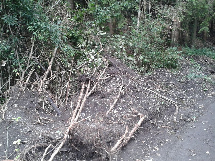 Ameisenhaufen zugesch&uuml;tttet