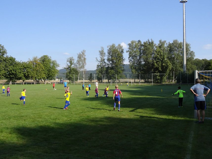 Gelungener Start f&uuml;r Ellrichs F- Jugend