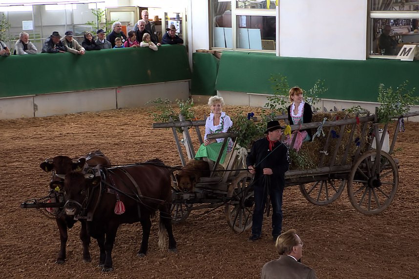 Archeschau auf der Forstfarm