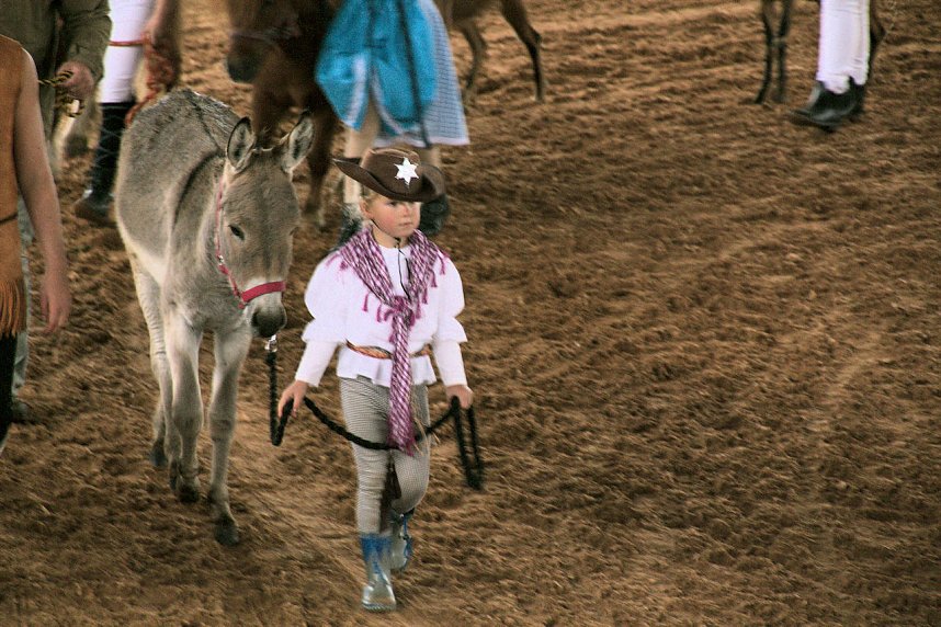 Archeschau auf der Forstfarm