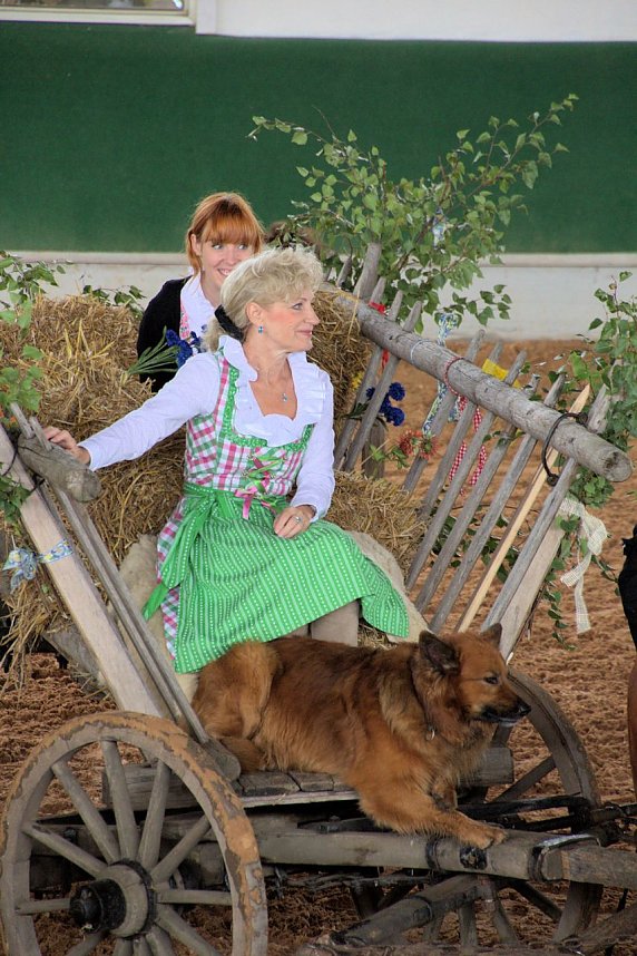 Archeschau auf der Forstfarm