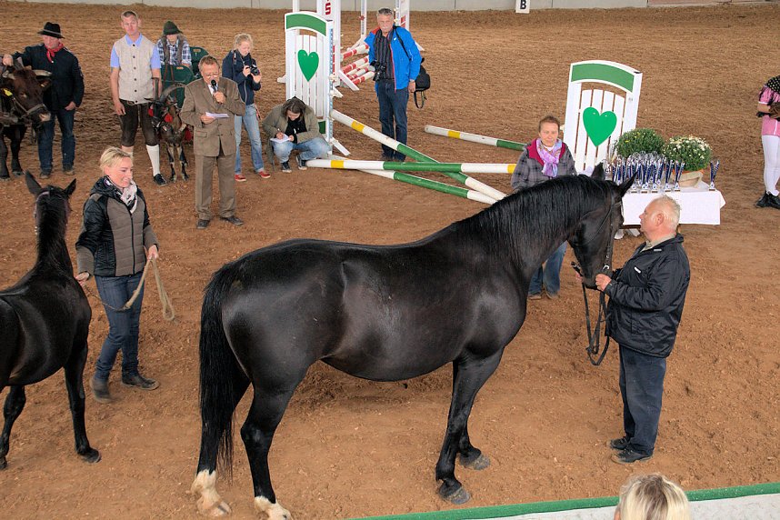 Archeschau auf der Forstfarm