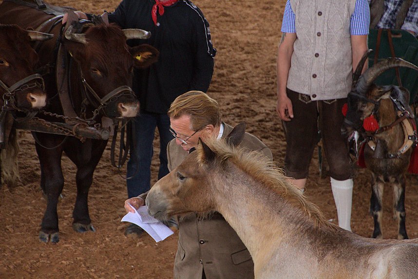 Archeschau auf der Forstfarm