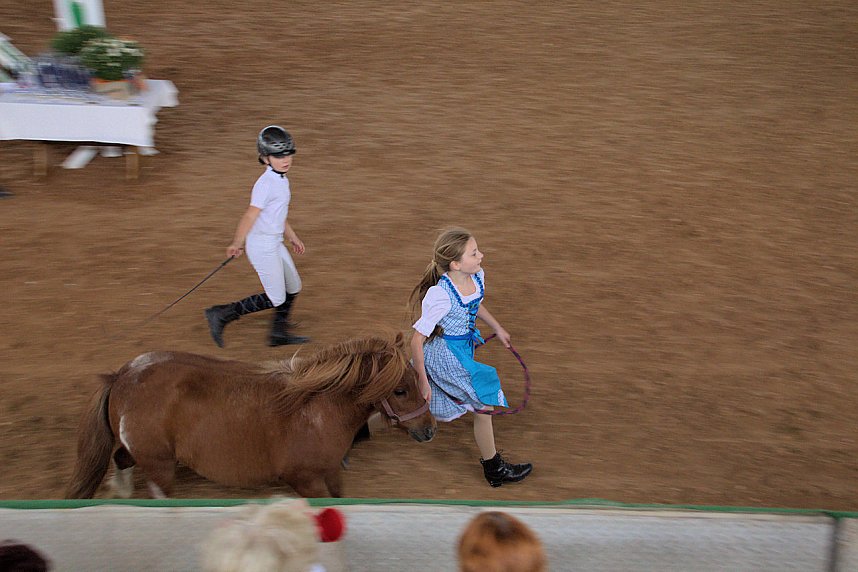 Archeschau auf der Forstfarm