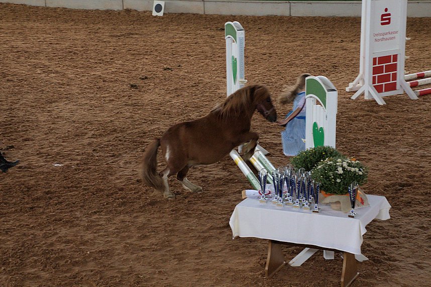 Archeschau auf der Forstfarm