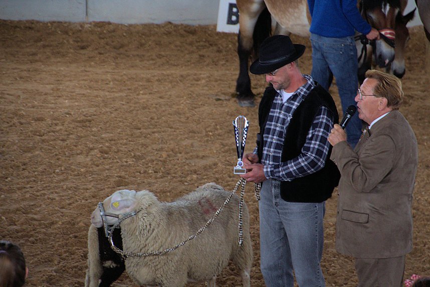 Archeschau auf der Forstfarm