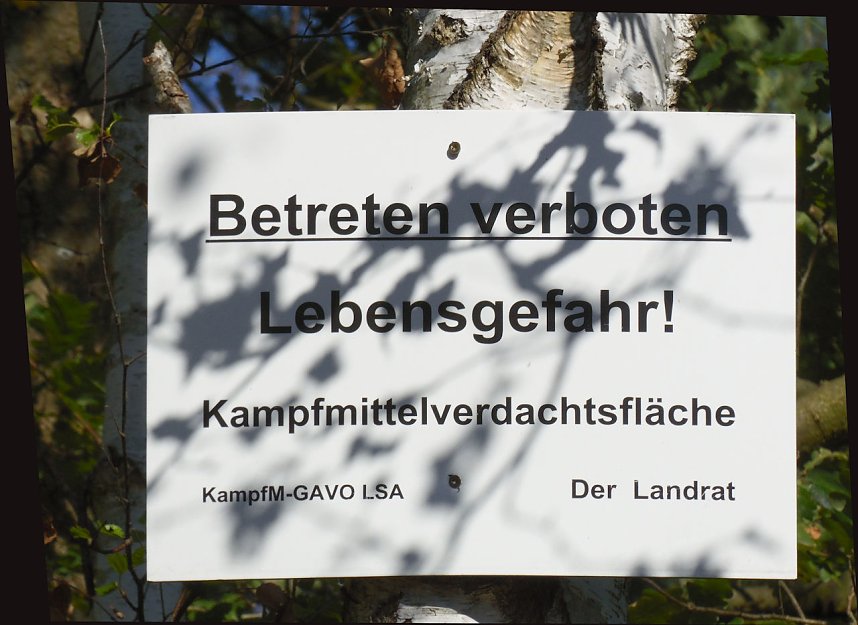 Peter Blei unterwegs in der Heide