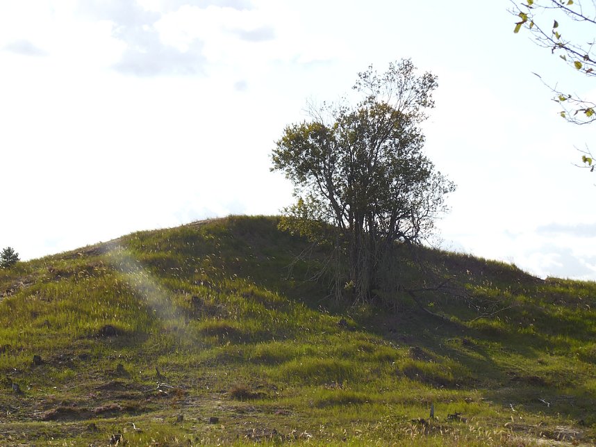 Peter Blei unterwegs in der Heide