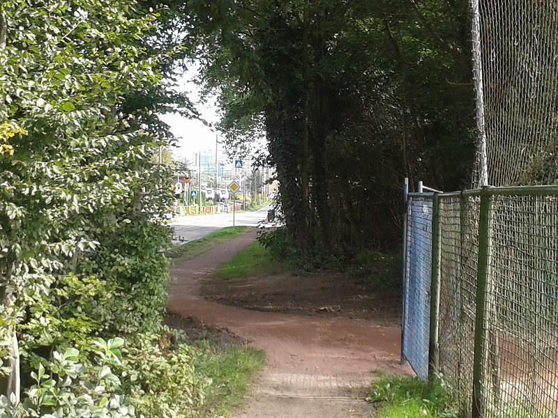 Von Nordhausen nach Halle