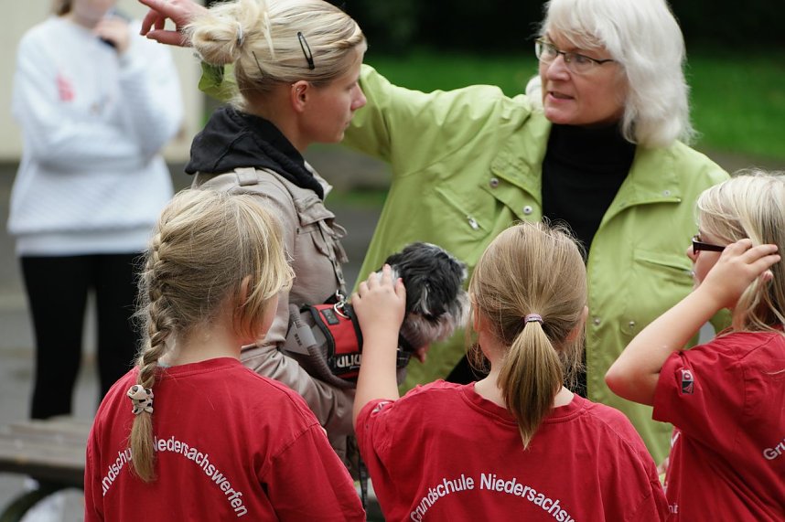 Herbstcross im Nordh&auml;user Gehege