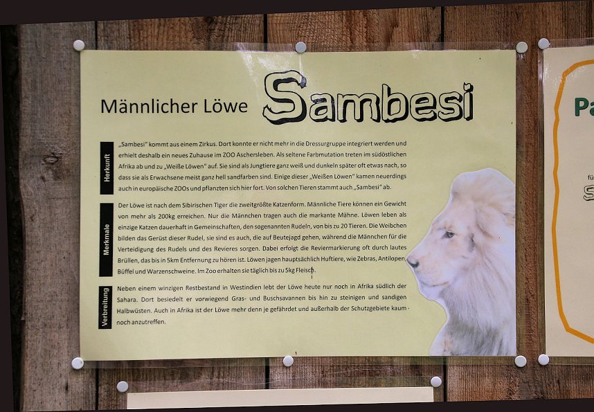 Peter Blei unterwegs: Der Zoo in Aschersleben