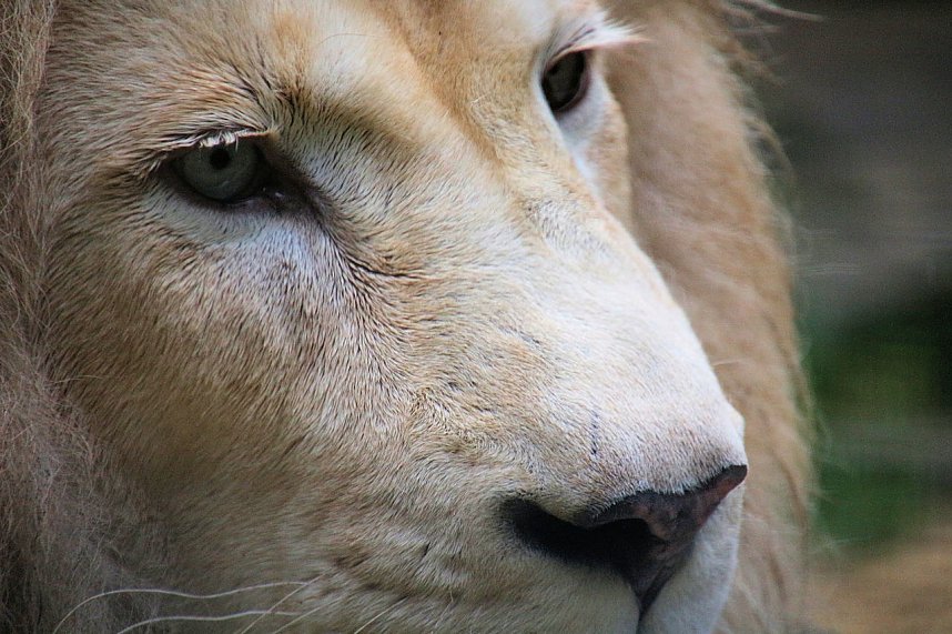 Peter Blei unterwegs: Der Zoo in Aschersleben
