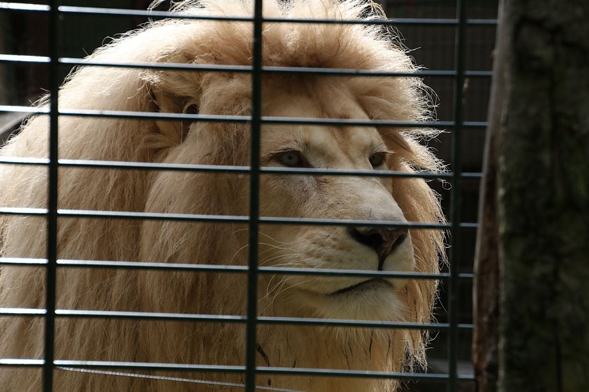 Peter Blei unterwegs: Der Zoo in Aschersleben