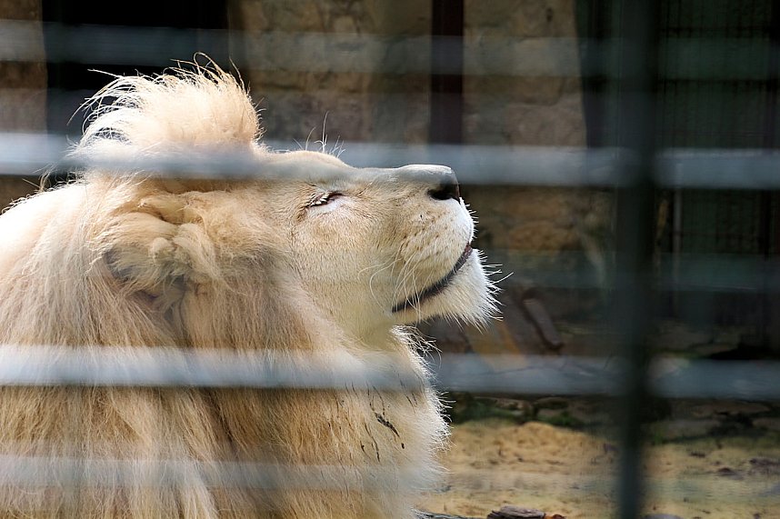 Peter Blei unterwegs: Der Zoo in Aschersleben