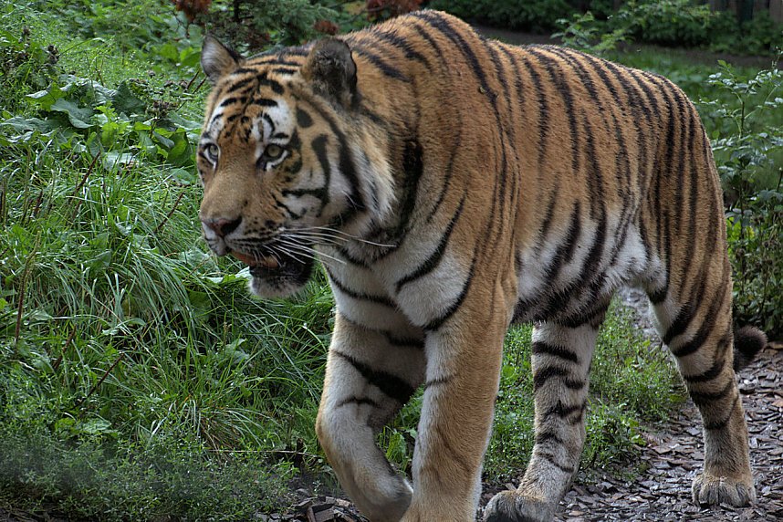 Peter Blei unterwegs: Der Zoo in Aschersleben