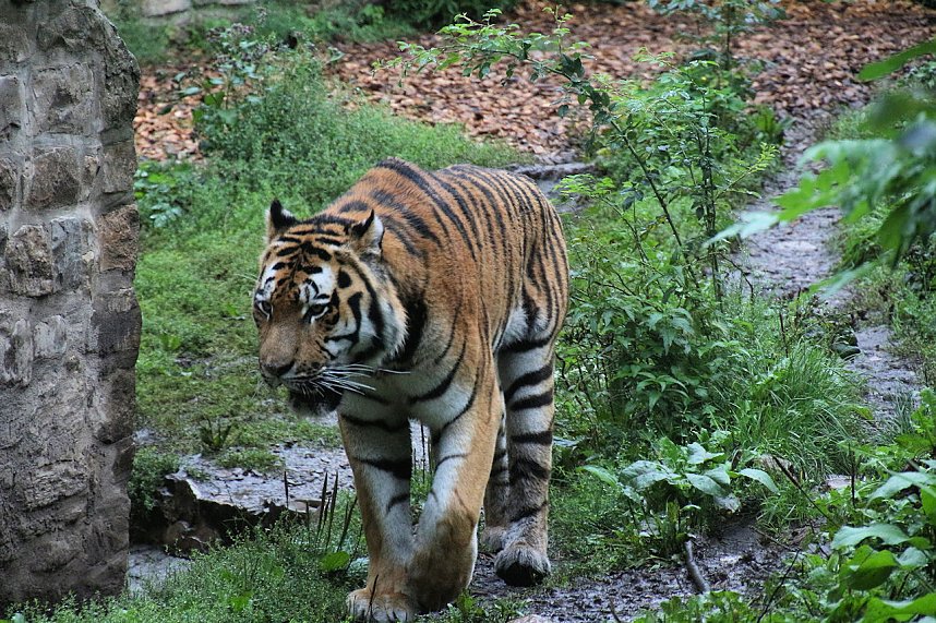 Peter Blei unterwegs: Der Zoo in Aschersleben
