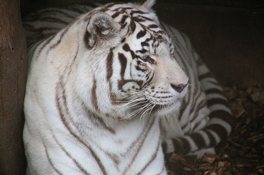 Peter Blei unterwegs: Der Zoo in Aschersleben