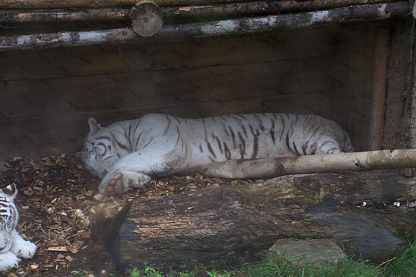 Peter Blei unterwegs: Der Zoo in Aschersleben