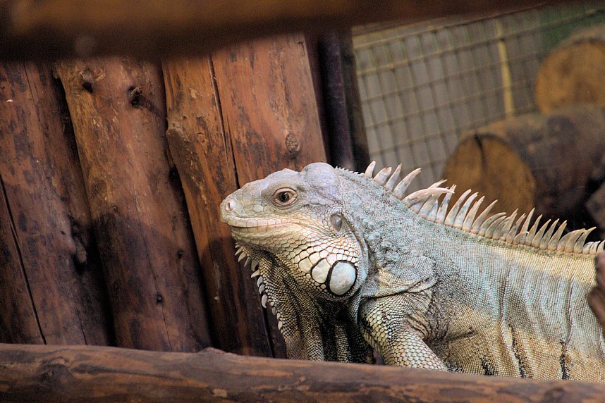 Peter Blei unterwegs: Der Zoo in Aschersleben