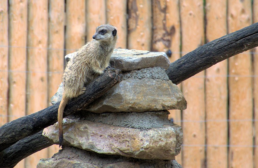 Peter Blei unterwegs: Der Zoo in Aschersleben