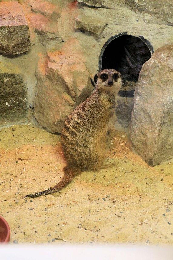 Peter Blei unterwegs: Der Zoo in Aschersleben