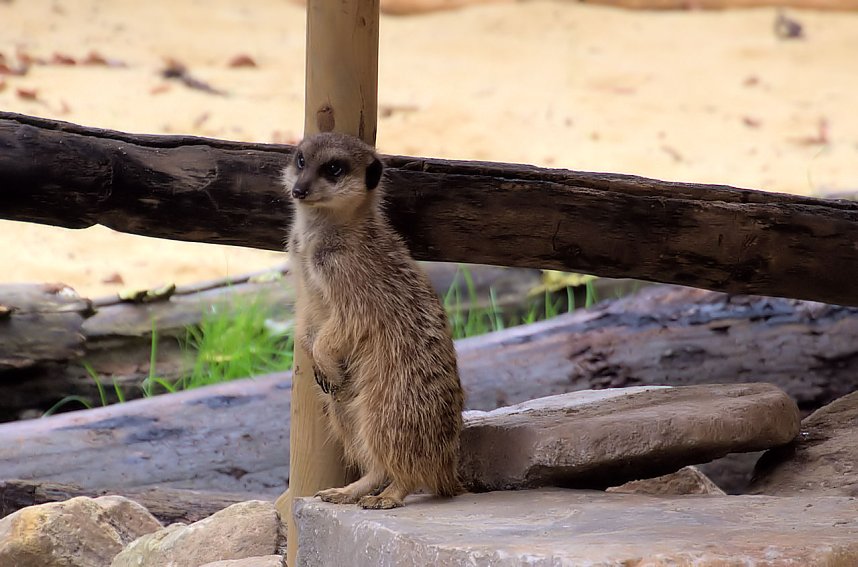 Peter Blei unterwegs: Der Zoo in Aschersleben