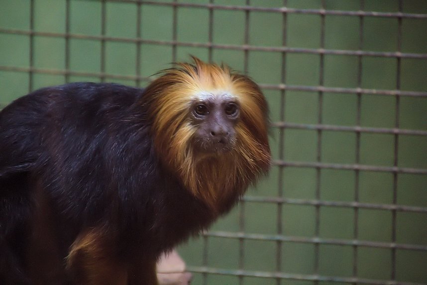 Peter Blei unterwegs: Der Zoo in Aschersleben