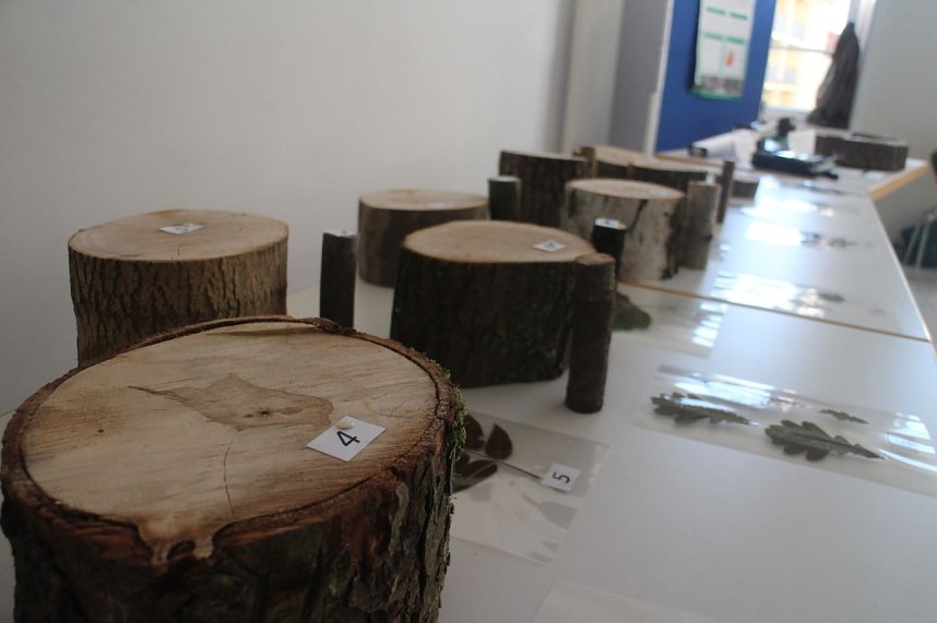 Tag der offenen T&uuml;r bei der Stadtverwaltung