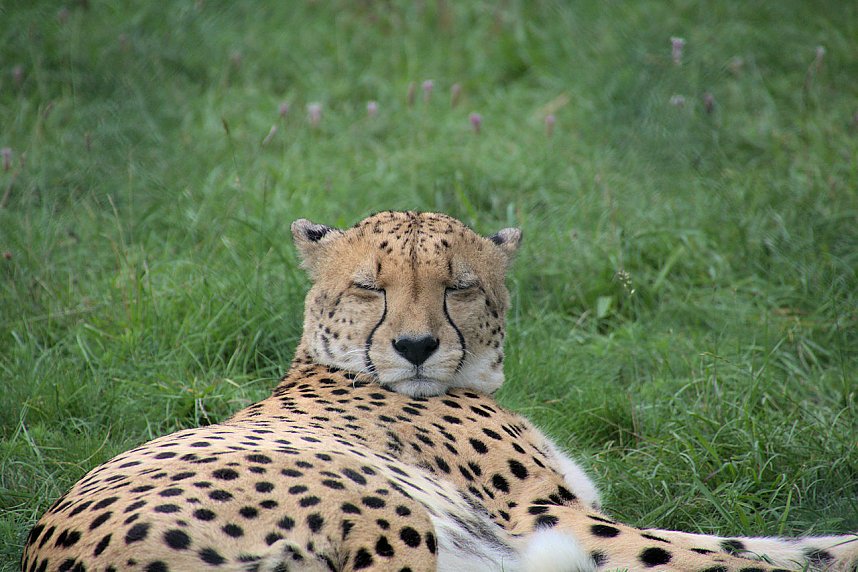 Peter Blei unterwegs auf dem Possen