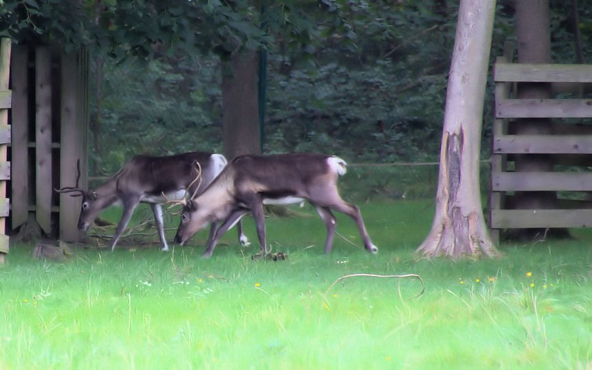Peter Blei unterwegs auf dem Possen