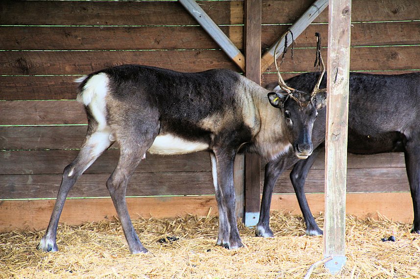 Peter Blei unterwegs auf dem Possen