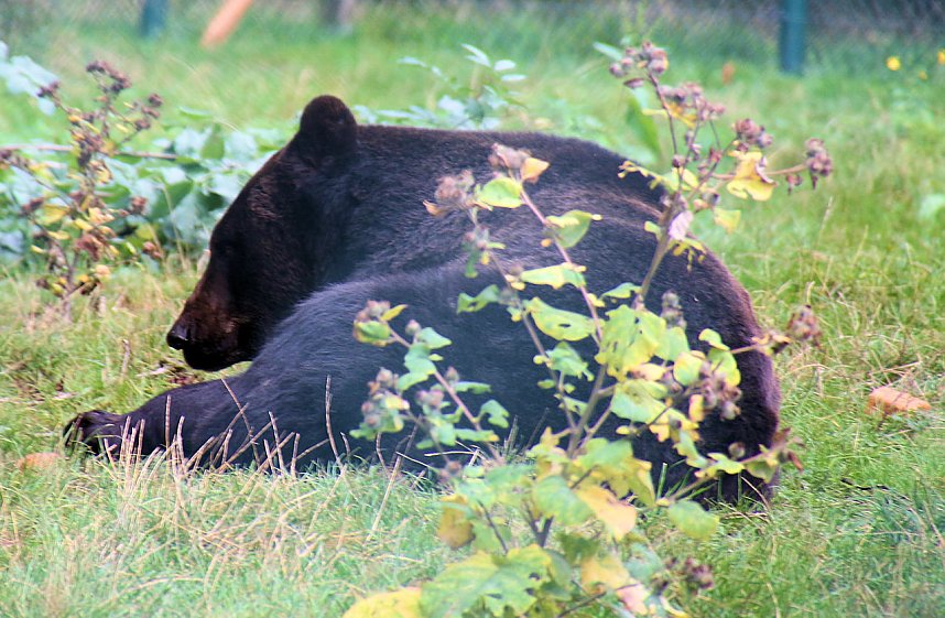 Peter Blei unterwegs auf dem Possen