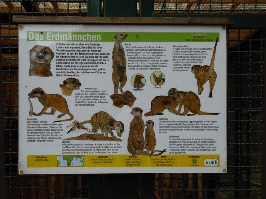 Peter Blei unterwegs auf dem Possen