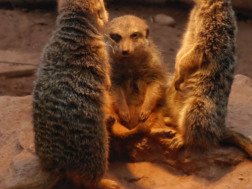 Peter Blei unterwegs auf dem Possen