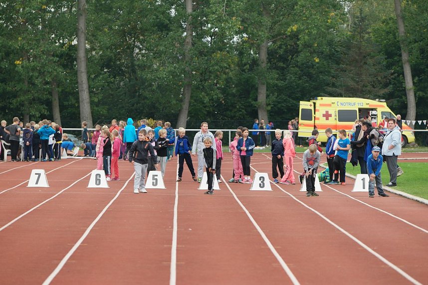 Junge Talente sichten