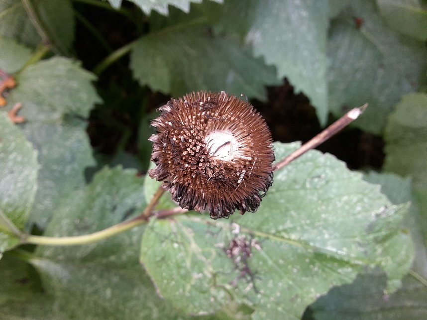 Pfad der Poesie im Park Hohenrode