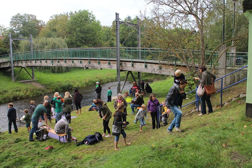 Abwassern an der Zorge