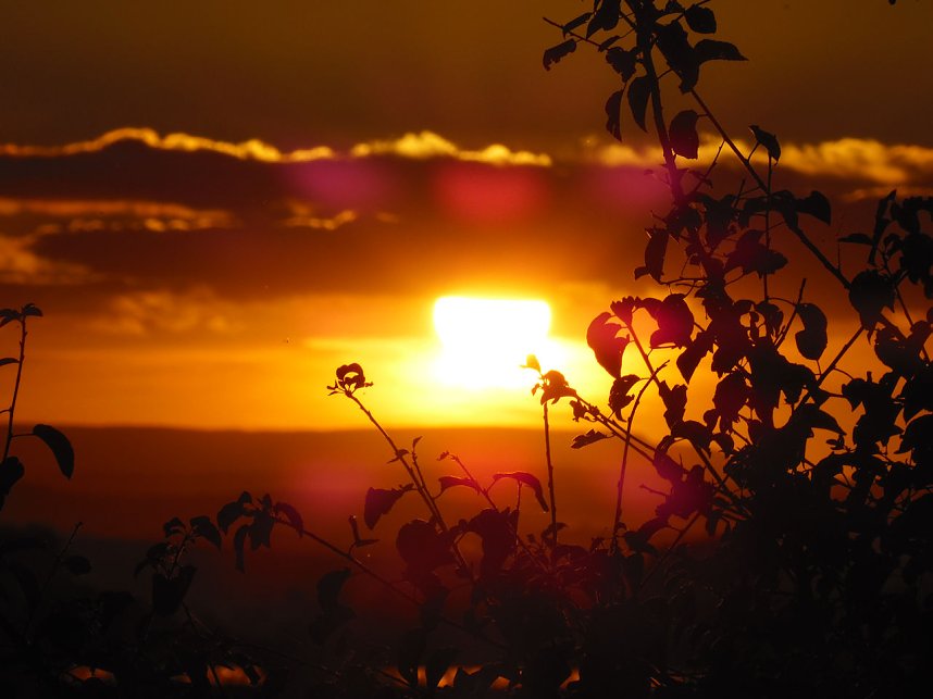 Natur- und andere Schauspiele