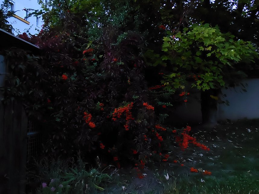 Natur- und andere Schauspiele