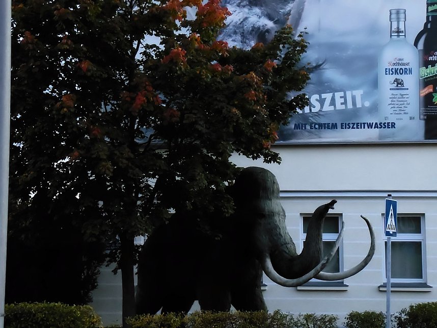 Natur- und andere Schauspiele