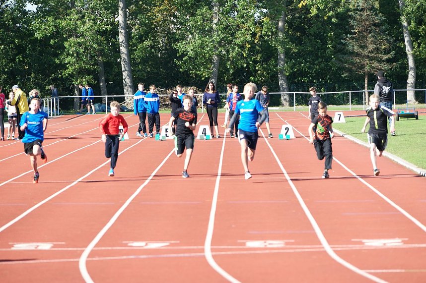 Die besten Leichtathleten