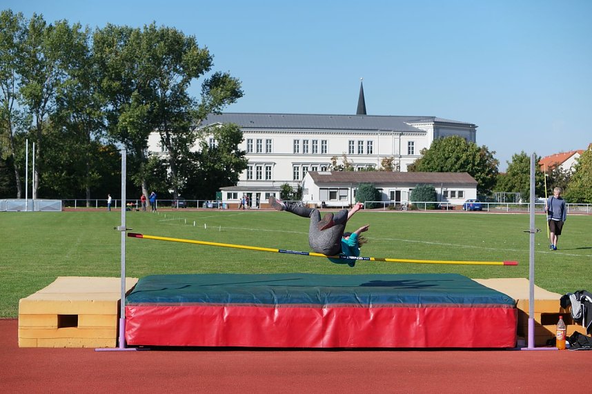 Die besten Leichtathleten