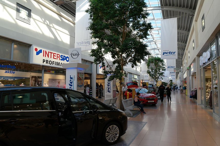 Ausstellung im Kauf Park