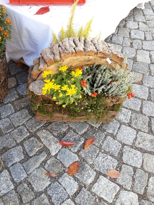 Menschen und K&uuml;rbisse