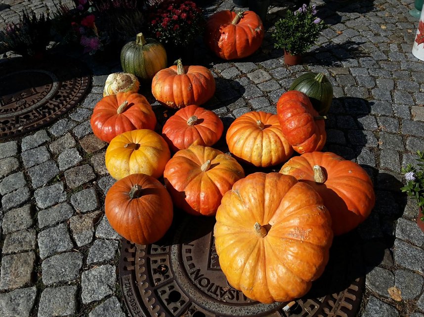 Menschen und K&uuml;rbisse