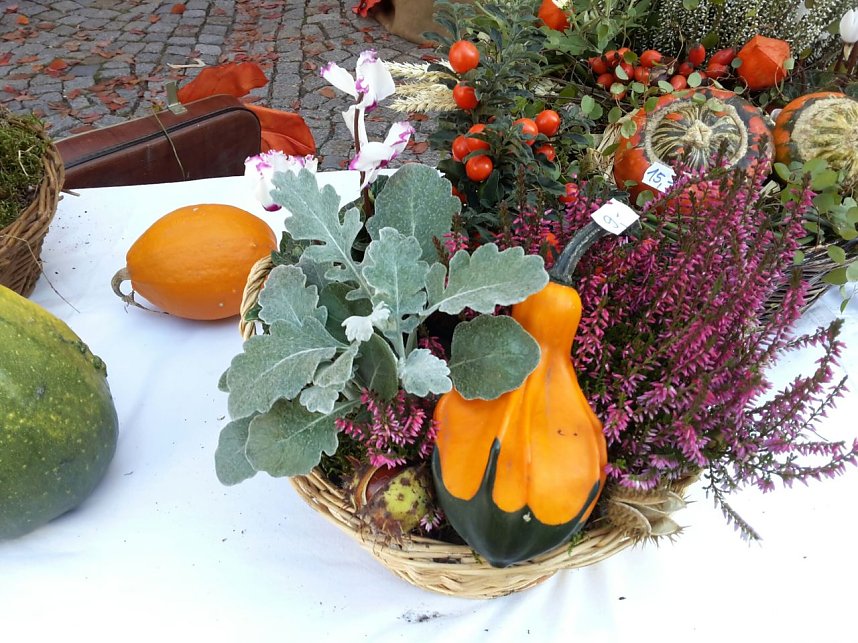 Menschen und K&uuml;rbisse