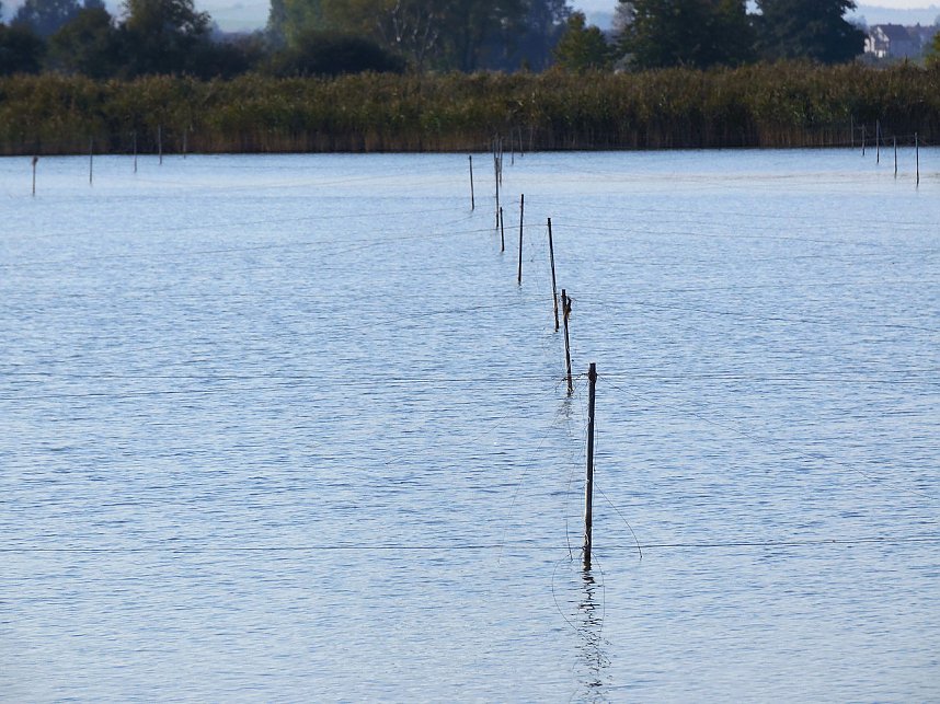 Fischerfest in Auleben